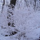 연인산풍경 이미지