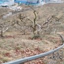 한태농장 이미지