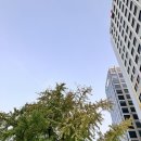 포트캔커피만리재점
