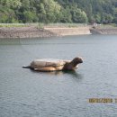 호명입구 이미지