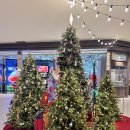 롯데몰 수원점 | 수원 롯데몰 맛집 정희 타임빌라스 수원점 후기