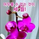 햇님 달님 이미지