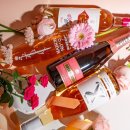 아영푸드 이미지