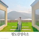 스테이인포시즌 이미지