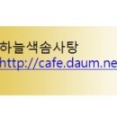 황후 캣 이미지