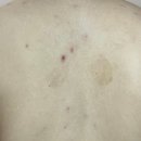 김피부과의원 이미지