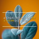 오르난 네이버블로그