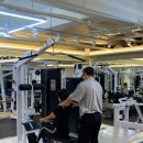 피티인거여 이미지