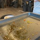 부추삼겹살 딱이야 이미지