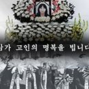 오늘카페 이미지