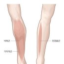 에이블짐 등촌역점 이미지