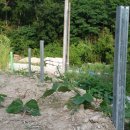 달바위농장 이미지