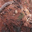 안산반월지역아동센터 이미지