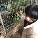 수락 농장 이미지