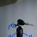 모토텍 Daum카페