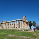 〔파에스툼〕 아테나 신전(Tempio di Athena. Temple of Athena) - 파에스툼 고고학 유적지...