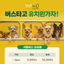 털로덮인친구들 수원시청역점 이미지