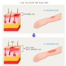 화상 분류표【별표 4】 이미지