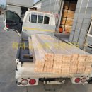 본드라이 이미지