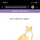 다들 연애 동물 테스트 해보세요! 이미지