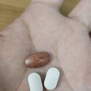 AM&PM | AM/PM영양제루틴 도즈랩 프리미엄 영양제 섭취 후기!!!