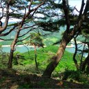 괴곡성벽길 이미지