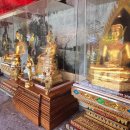 매력it개 이미지