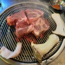 박대포 이미지