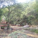 초부리유아숲체험원 이미지