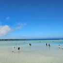 제주야 표선 이미지