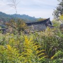 도래마을 입구 이미지