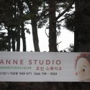 조안베어뮤지엄 네이버블로그