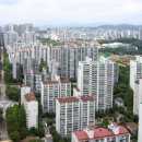 정자일로 이미지