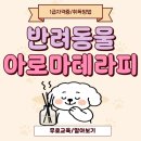 반려동물 아로마 테라피 자격증 | 반려동물아로마테라피 자격증 강아지 마사지 공부 후기