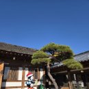 프레스트 | 기장 조용한 한옥카페 정원뷰와 커피맛집 기장카페 프레스트 방문후기