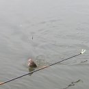 천지연낚시터 이미지