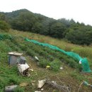 한샘목장 이미지