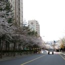 뉴서울아파트 이미지