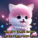 미소열쇠 이미지