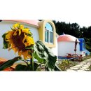 아라돔하우스 이미지