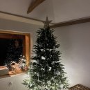 테바스테이 이미지