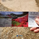 황금코다리 고창점 | 고창 가볼만한 곳 고창읍성 및 고창 맛집