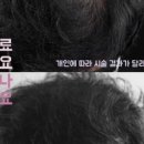 모텐셜의원 이미지