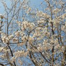 순천풋살장민박 이미지