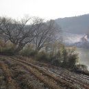 석등슬치로 이미지