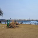 낙동강 유채단지 이미지