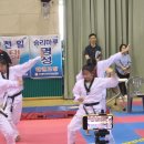 혜성태권도체육관 이미지