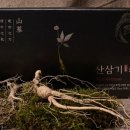 정다운홍삼