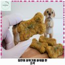 메르시몽프레 포메분양&애견카페 | 대조동 애견카페 개네집 곳간 가격 및 후기 추천 리뷰 주차 예약 알아볼까요