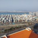 탑마트 신평점 | 부산 사하구 신평동 신평역 퀸즈타운W사하아파트 반려동물 벽파손 부분도배 시공 후기｜일등도배